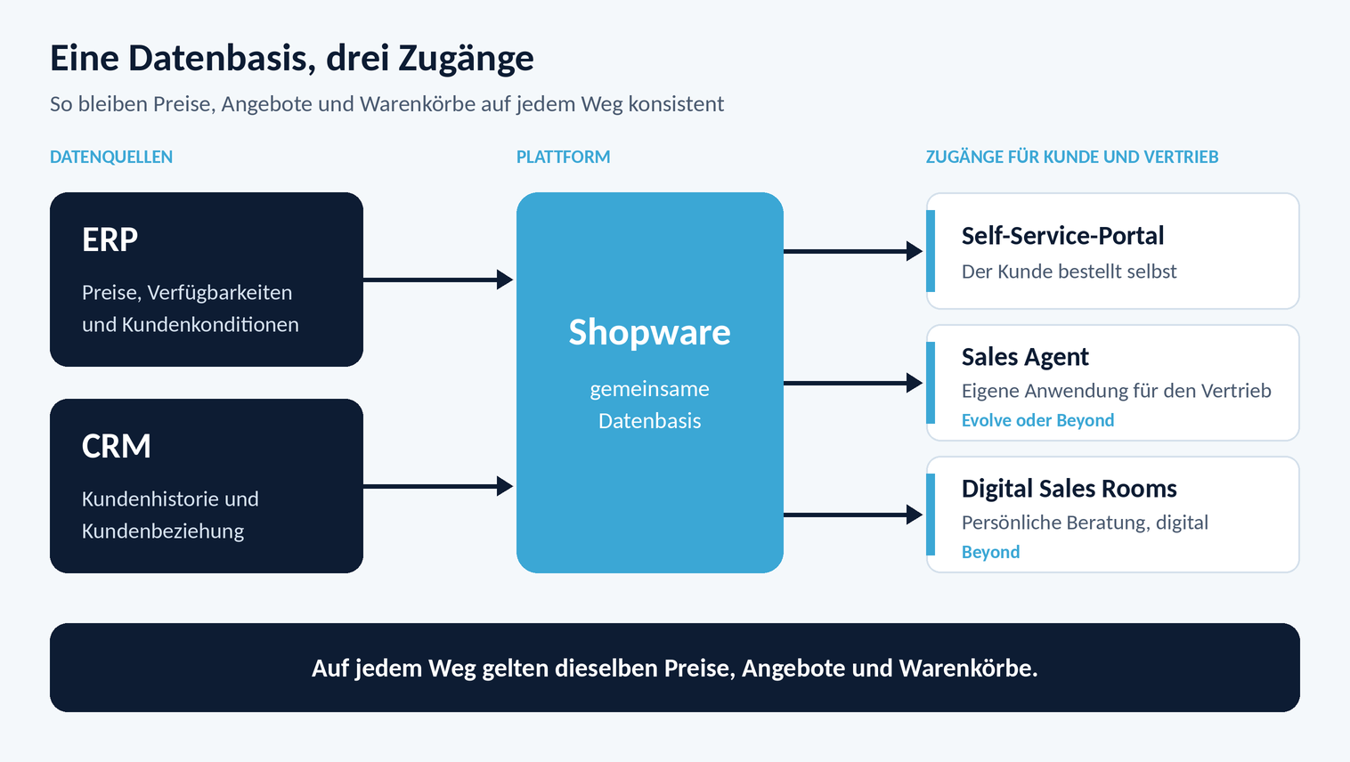 hybrid-buying-shopware-datenbasis