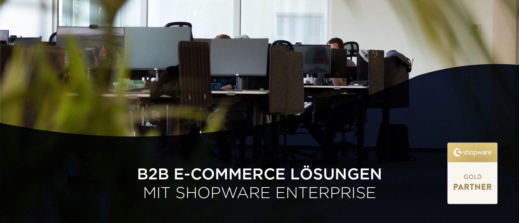 Kopfgrafik B2B E-Commerce Lösungen Shopware Enterprise