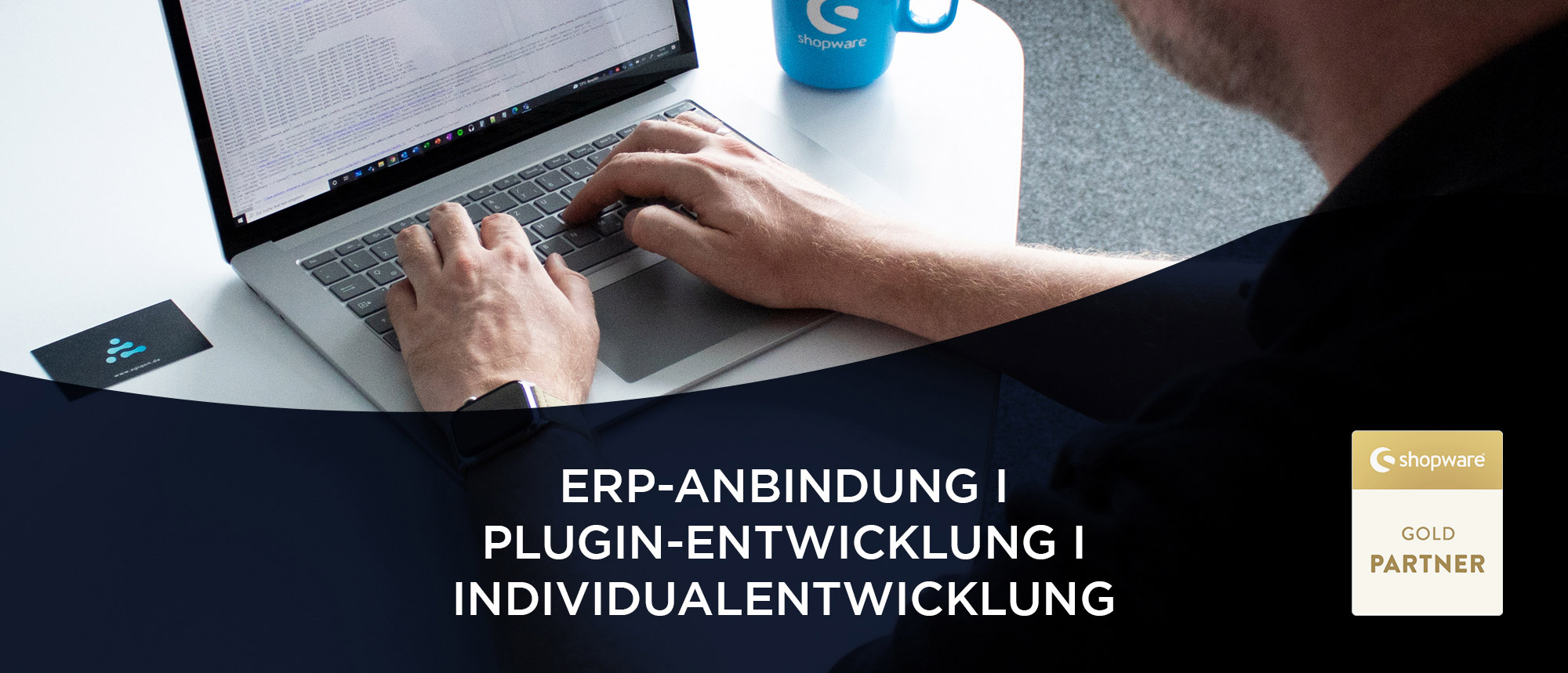 Kopfgrafik ERP Anbindung, Plugin-Entwicklung und Individualentwicklung 