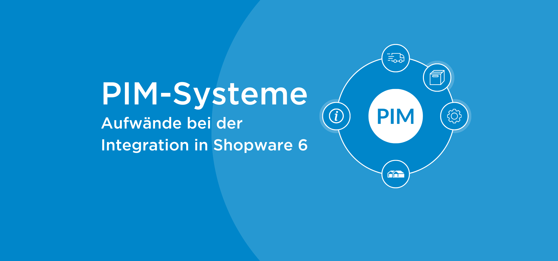 PIM-Systeme - Aufwände bei der Integration in Shopware 6